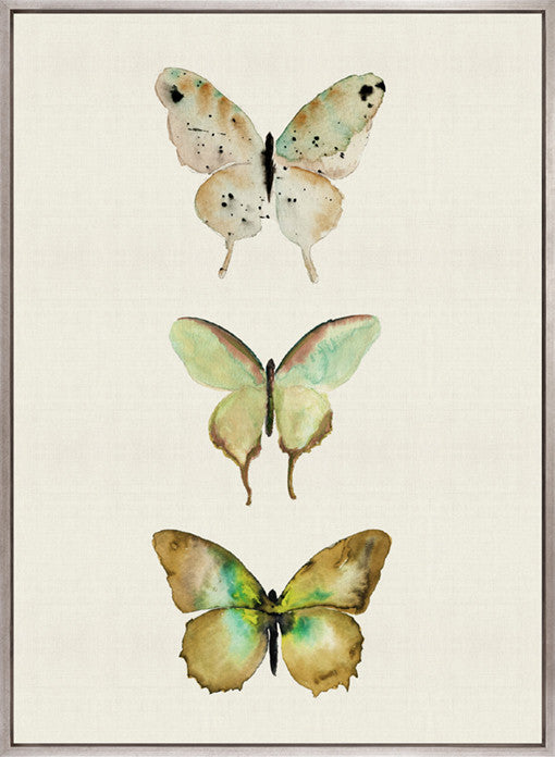 Butterfly Trio III (Canvas)