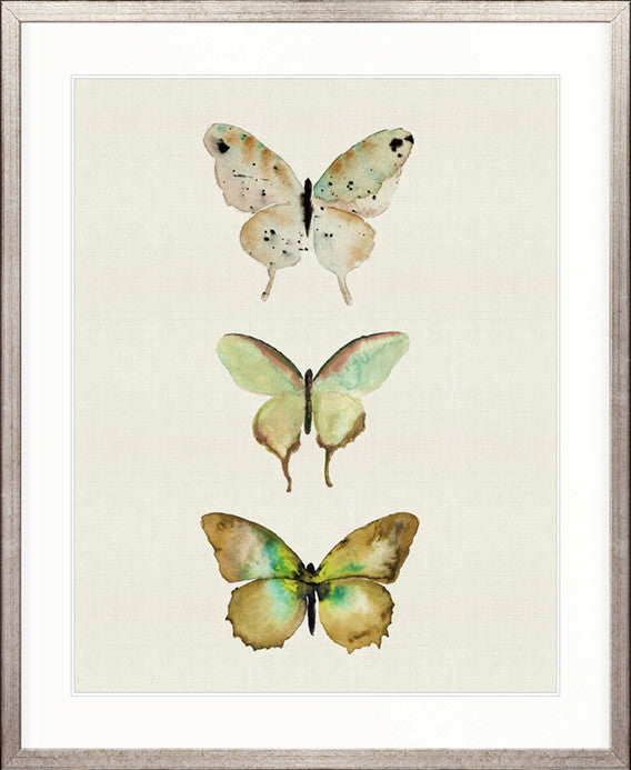Butterfly Trio III