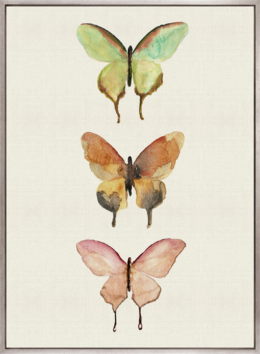 Butterfly Trio IV (Canvas)
