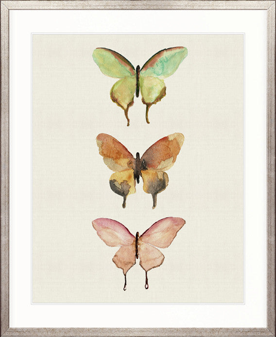 Butterfly Trio IV