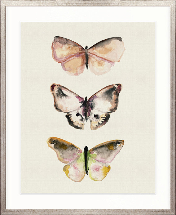 Butterfly Trio V