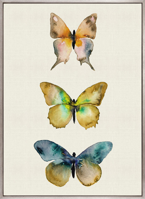 Butterfly Trio VI (Canvas)
