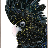 Yanbury Bird VI (Canvas)
