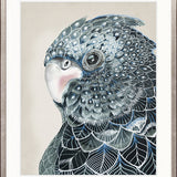 Yanbury Bird X