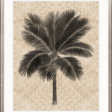 Yasawa Palm II