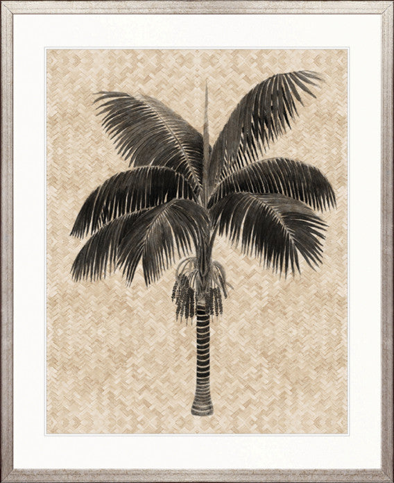 Yasawa Palm III
