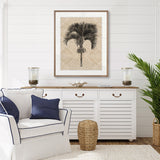 Yasawa Palm IV
