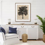 Yasawa Palm V