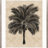 Yasawa Palm V