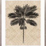 Yasawa Palm VI