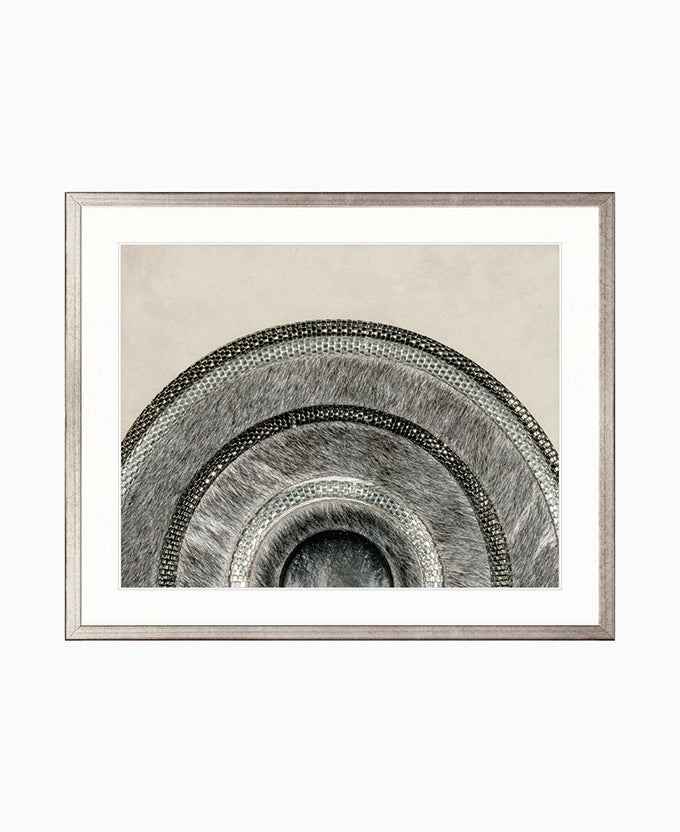 Concentric Circle Print IV