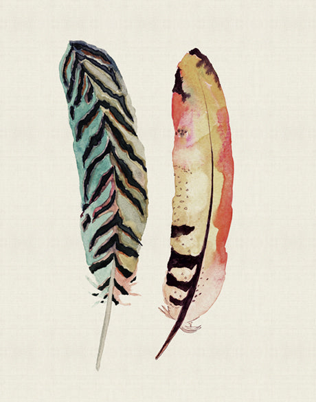 Feather Delight IV
