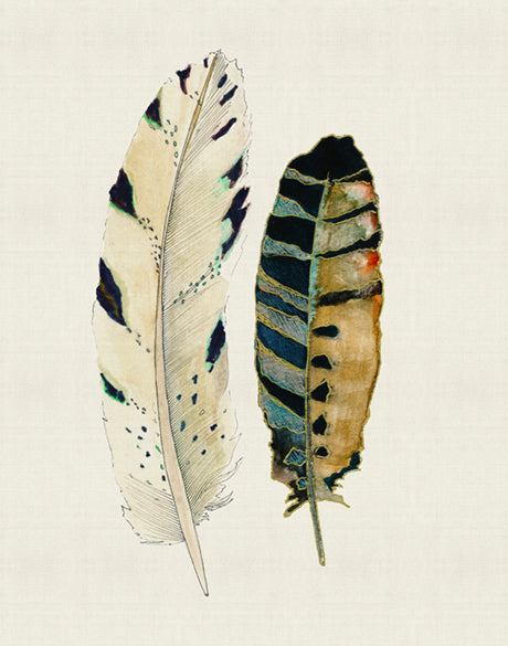 Feather Delight VI (Canvas)