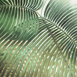 amara02_3