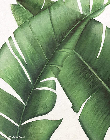 Evergreen Foliage III