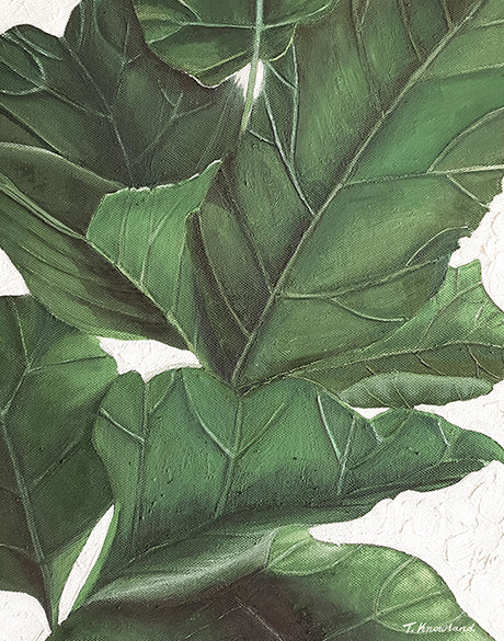 Evergreen Foliage IV