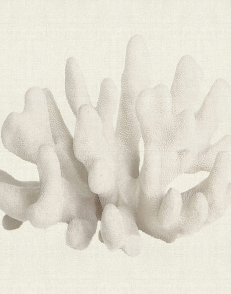 Fanciful Coral II