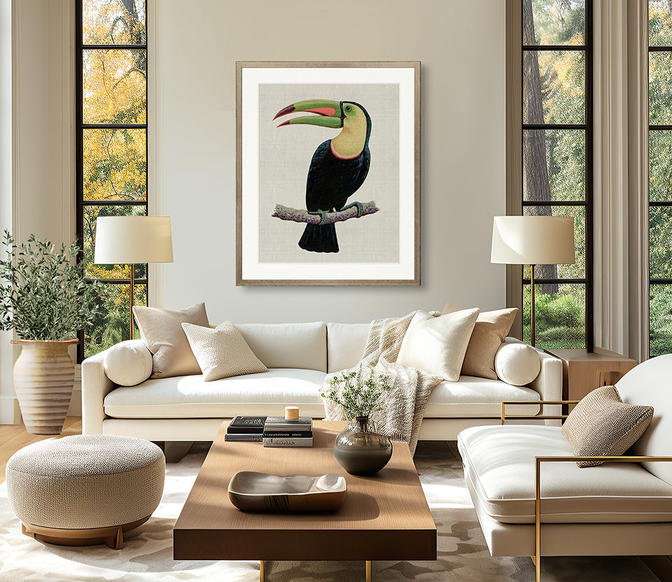 Colourful Toucan IV