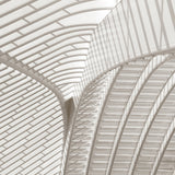 arc06_3