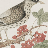 arial03_3