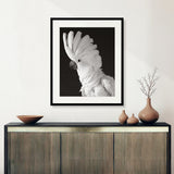 art01_2