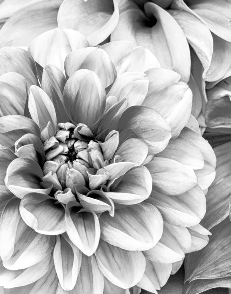 Garden Life (Canvas)