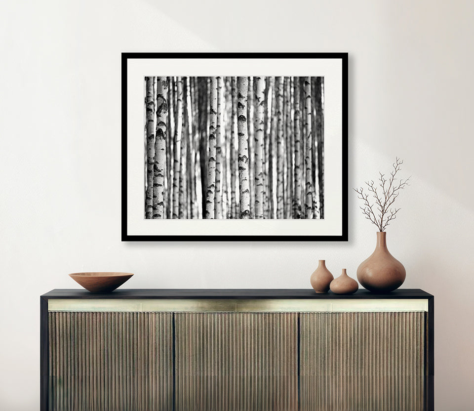 Forest Texture