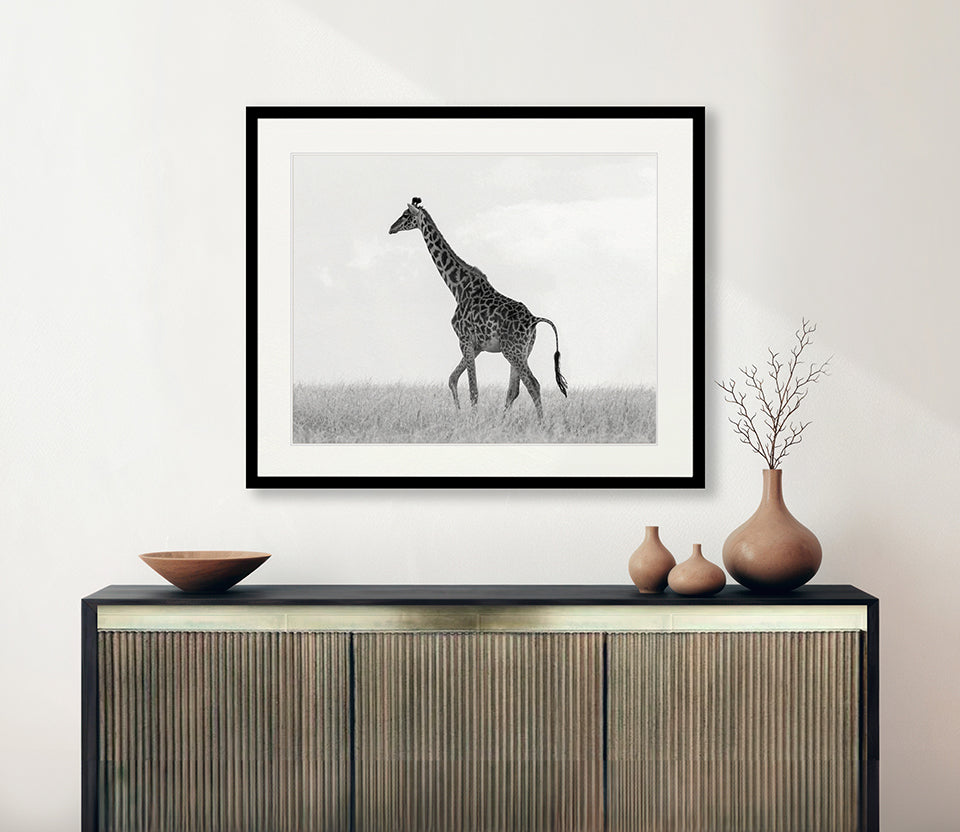 Majestic Giraffe