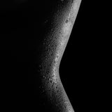 art24_3