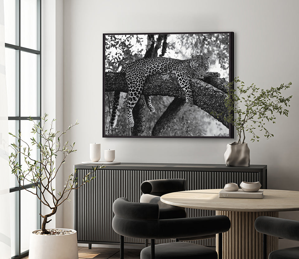 Wild African Leopard (Canvas)