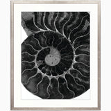 art29_4