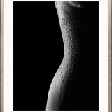 Body Contour I
