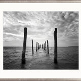 Skyward (Arthouse)