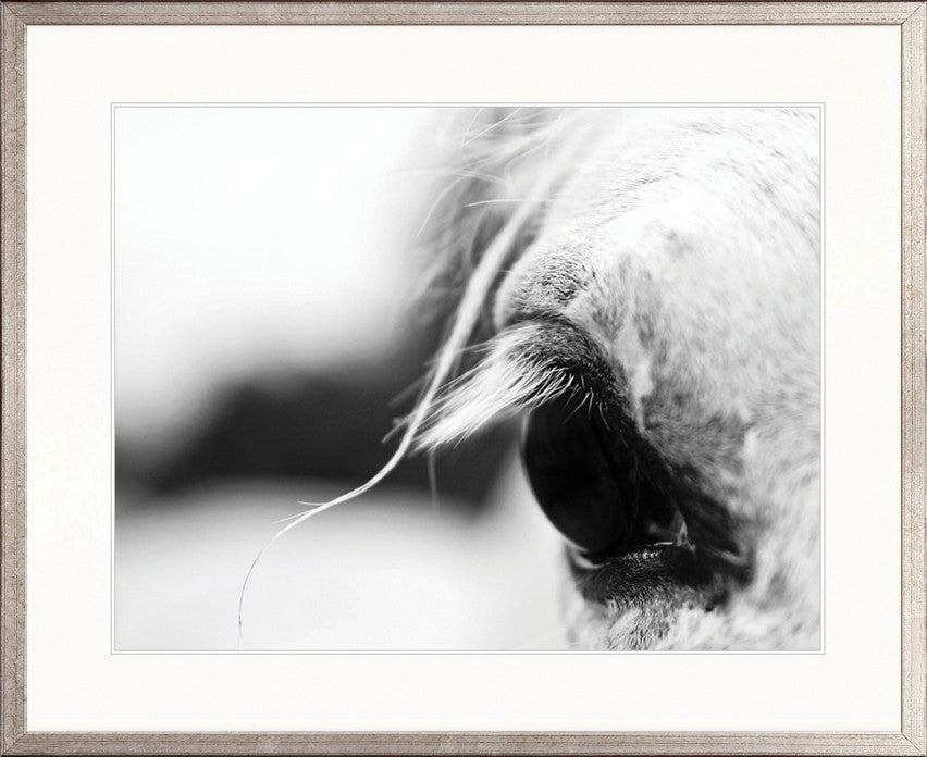 Horse Whisper