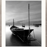 Safe Harbour