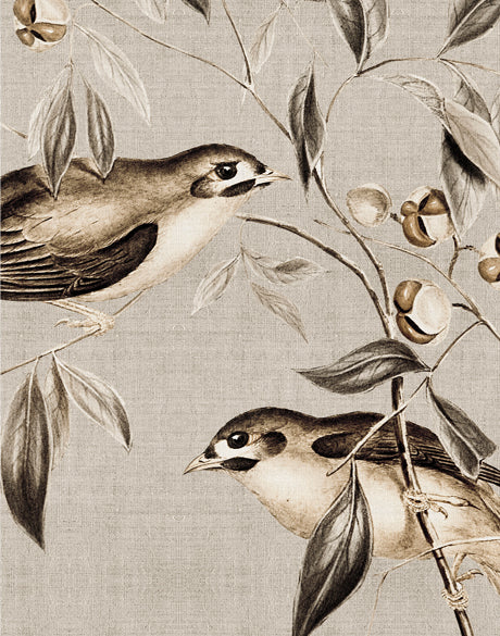 Meadow Birds III