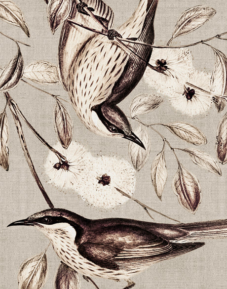 Meadow Birds IV