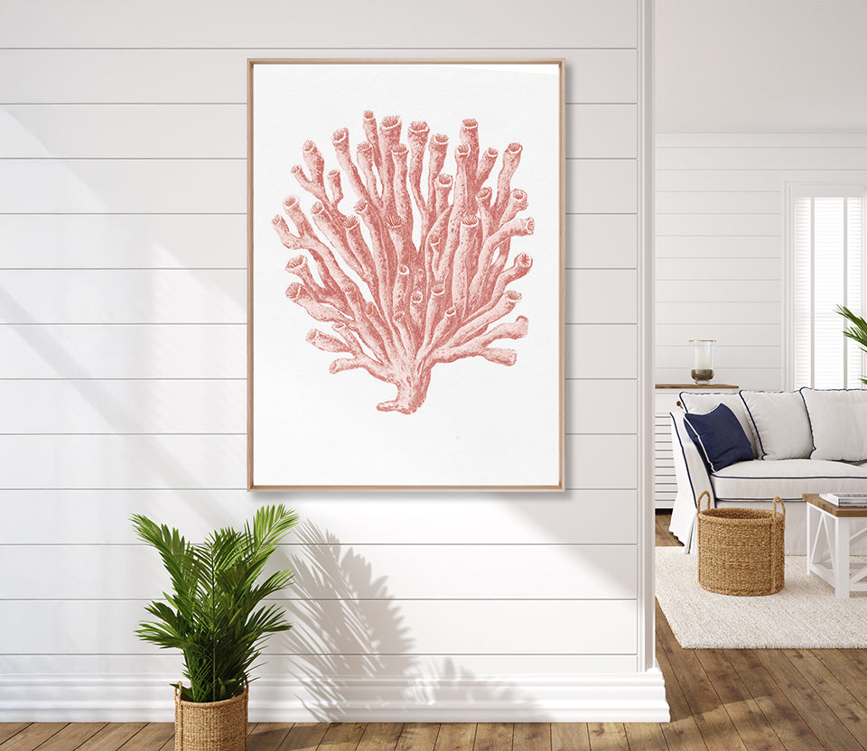 Ashford Soft Coral II (Canvas)
