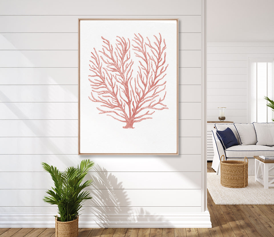 Ashford Soft Coral IV (Canvas)