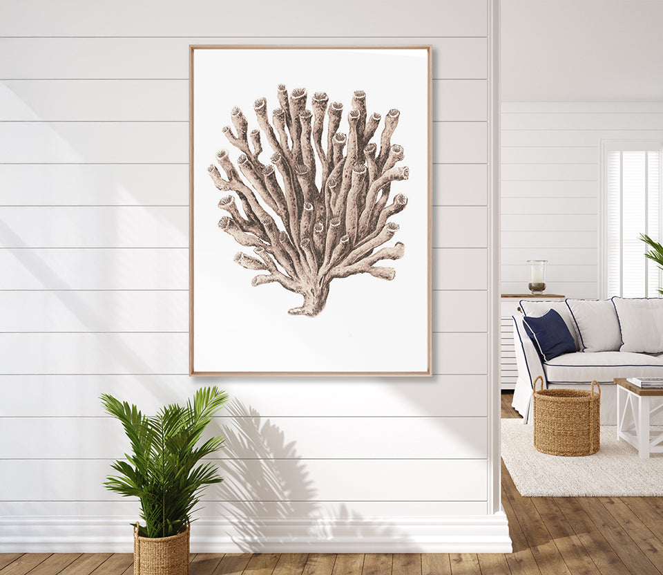 Ashford Soft Coral VI (Canvas)