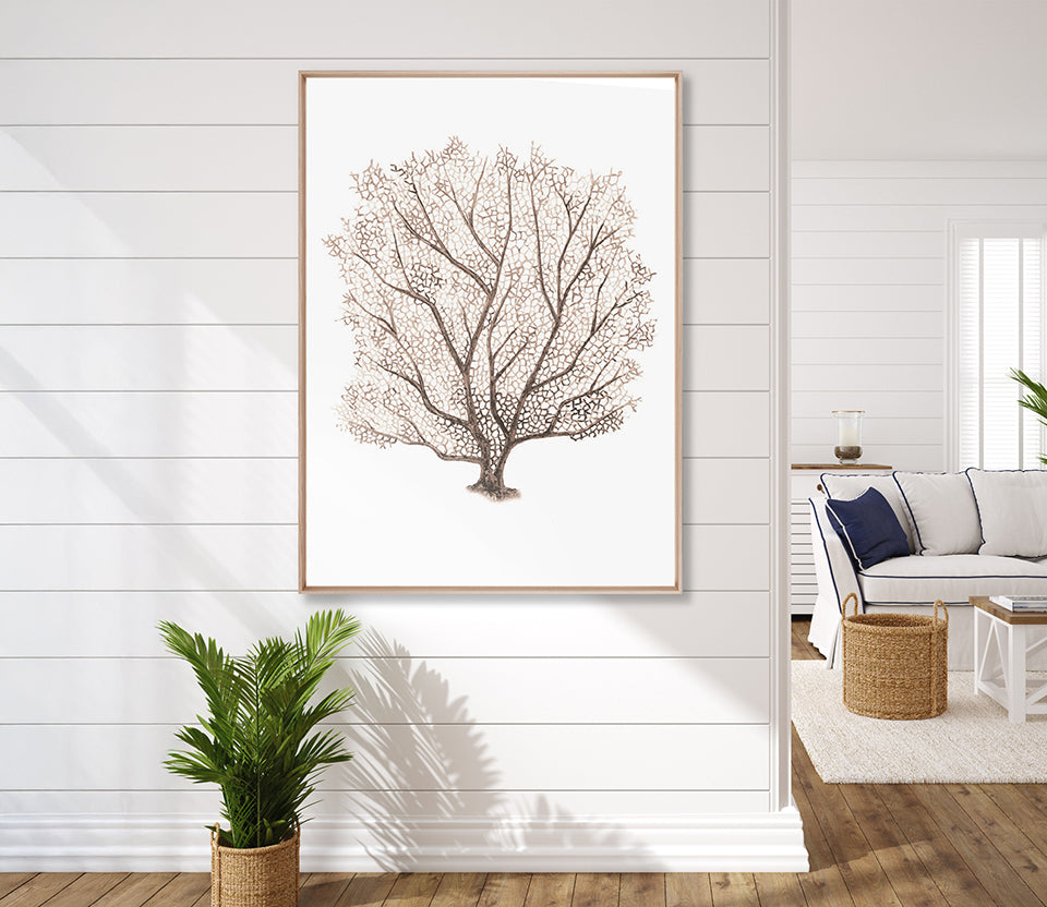 Ashford Soft Coral VII (Canvas)