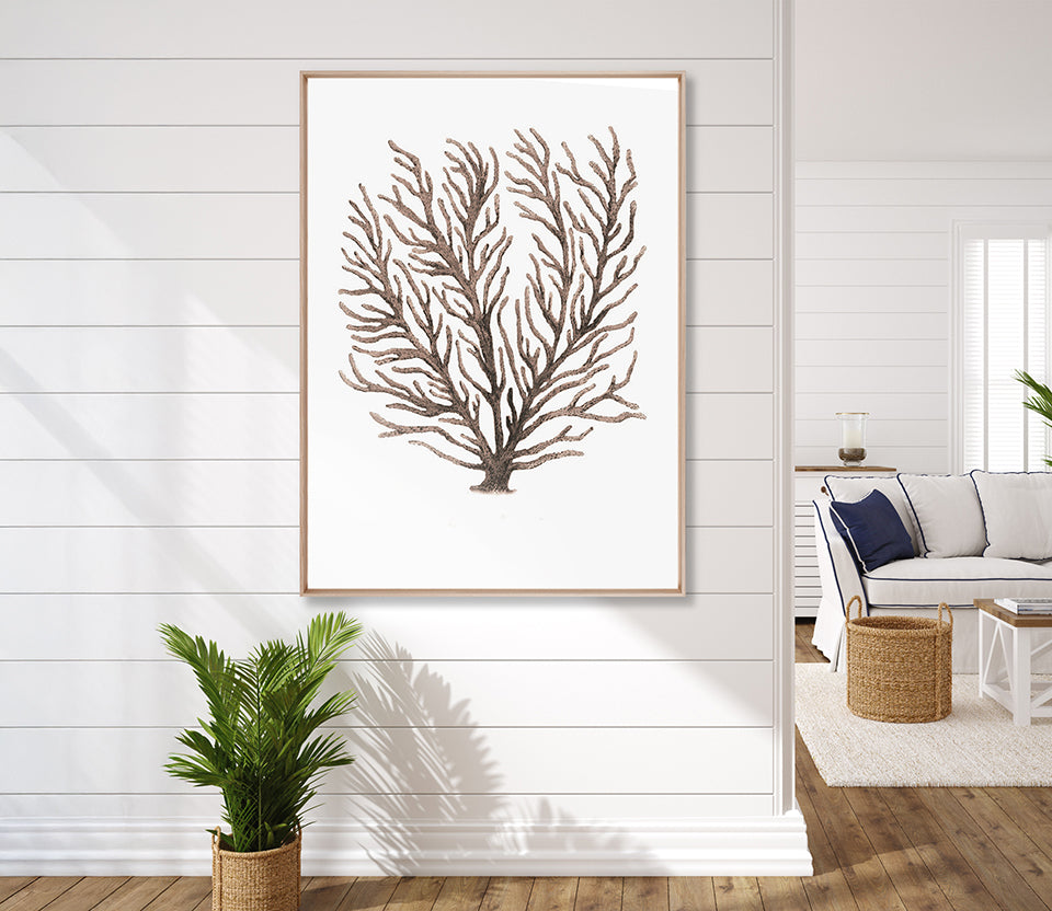 Ashford Soft Coral VIII (Canvas)
