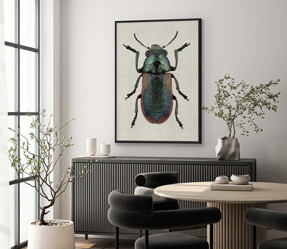 Beetle Subject III (Canvas)