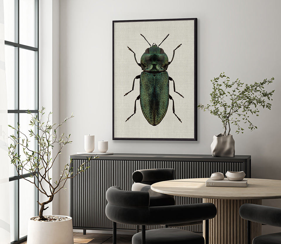 Beetle Subject VII (Canvas)