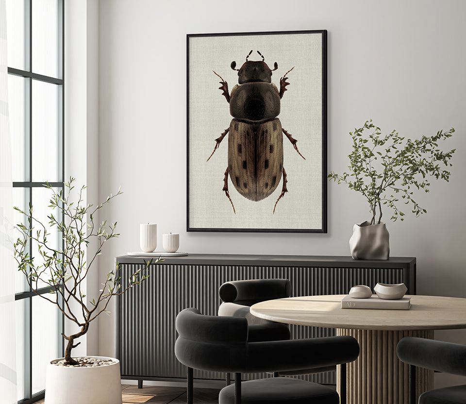 Beetle Subject VIII (Canvas)