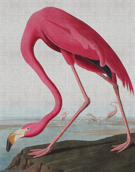 Exquisite Bird III