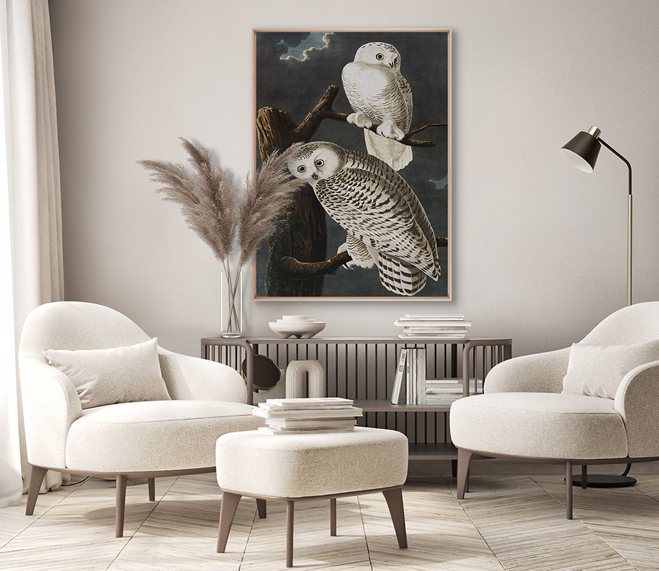 Exquisite Bird V (Canvas)