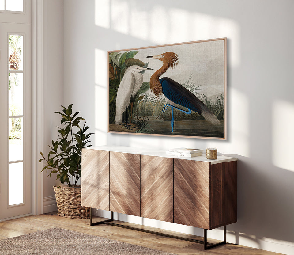 Exquisite Bird VI (Canvas)