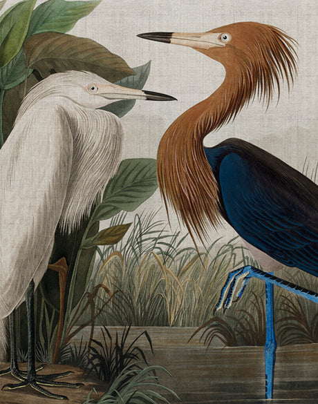 Exquisite Bird VI