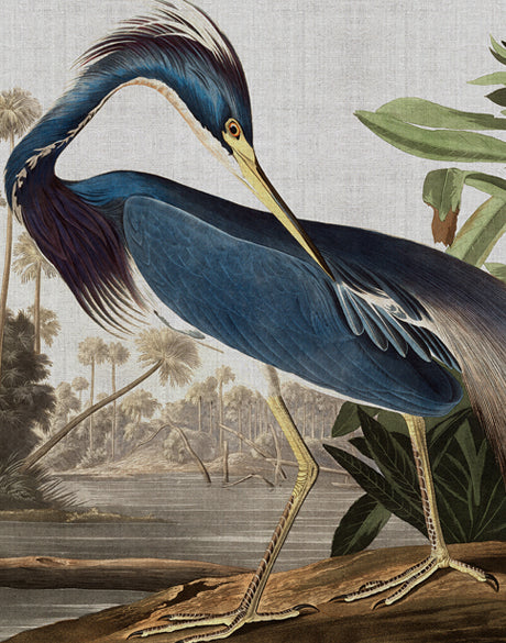 Exquisite Bird VII